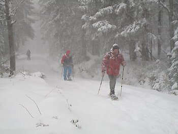 Schneeschuhtour auf den Lusen mit dem Hochriegel Wanderclub